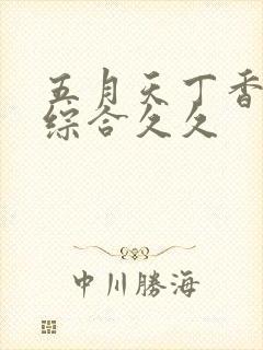 五月天丁香婷婷综合久久