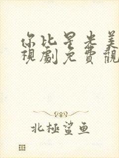 你比星光美丽电视剧免费观看完整