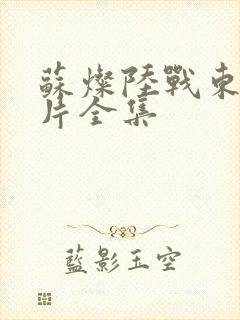 苏灿陆战东动画片全集封面