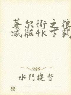 华尔街之狼未删减版4k下载