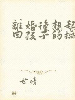 离婚后想起诉要回孩子的抚养权封面