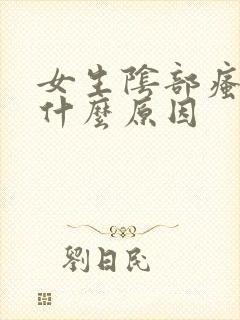 女生阴部瘙痒是什么原因