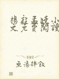 杨毅孟晓小说全文免费阅读