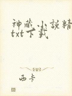 神藏小说精校版txt下载