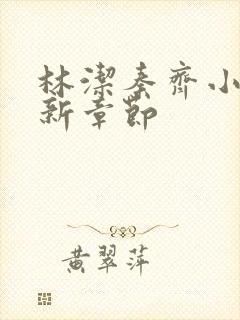 林洁秦齐小说最新章节封面