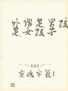 外甥是男孩子还是女孩子