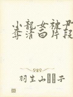 小龙女被尹志平夺清白片段