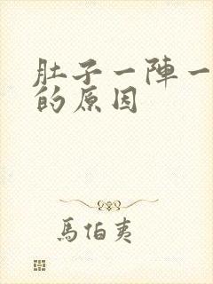 肚子一阵一阵痛的原因