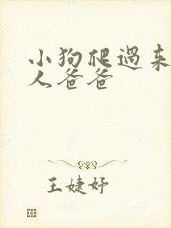 小狗爬过来叫主人爸爸