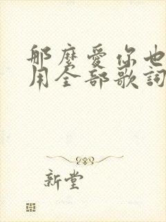 那么爱你也没有用全部歌词