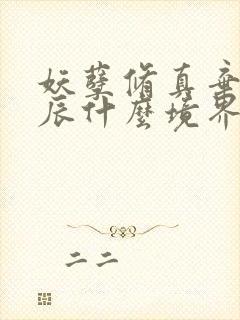 妖孽修真弃少叶辰什么境界