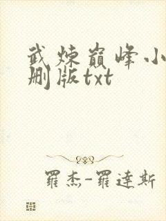 武炼巅峰小说未删版txt封面