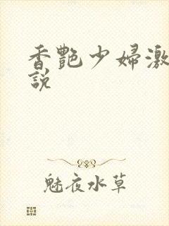 香艳少妇激情小说