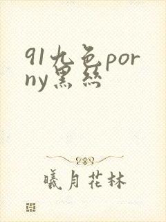91九色porny黑丝