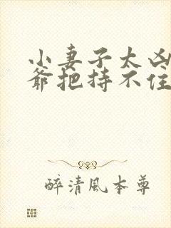 小妻子太凶,陆爷把持不住了 小说大结局好吗