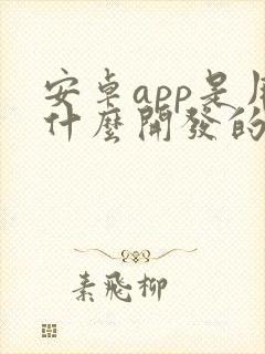 安卓app是用什么开发的