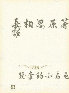 长相思原著 小说封面