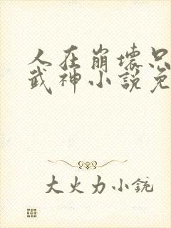 人在崩坏只爱女武神小说免费阅读