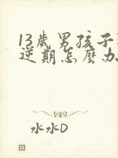 13岁男孩子叛逆期怎么办封面