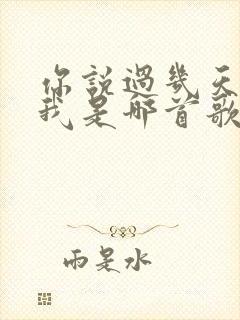 你说过几天来看我是哪首歌的歌词