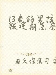 13岁的男孩了叛逆期怎么教