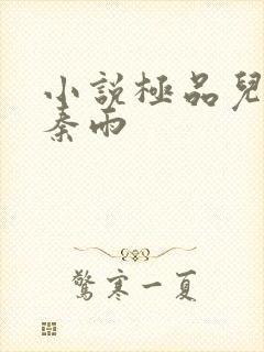 小说极品儿媳妇秦雨