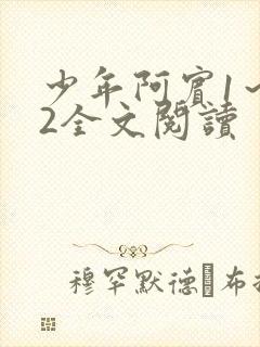 少年阿宾1～72全文阅读