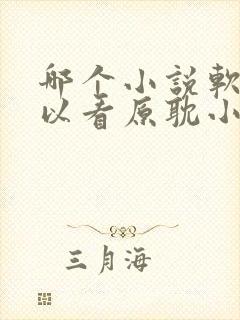 哪个小说软件可以看原耽小说