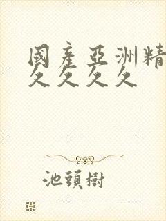 国产亚洲精品久久久久久