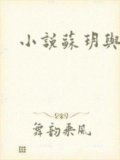 小说苏玥与马强