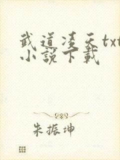 武道凌天txt小说下载