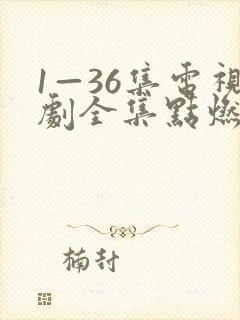 1—36集电视剧全集点燃我温暖你