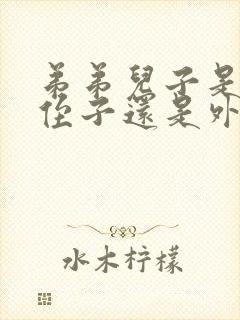 弟弟儿子是我的侄子还是外甥