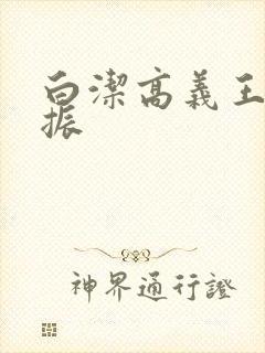 白洁高义王申赵振封面