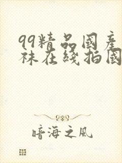 99精品国产丝袜在线拍国语91封面