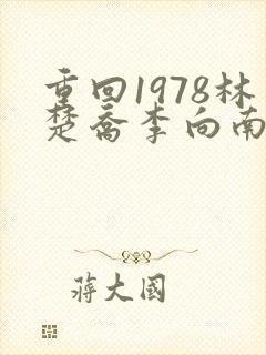 重回1978林楚乔李向南