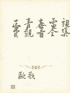 正青春电视剧免费观看全集西瓜封面