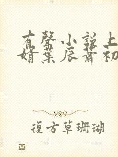 有声小说上门龙婿叶辰萧初然