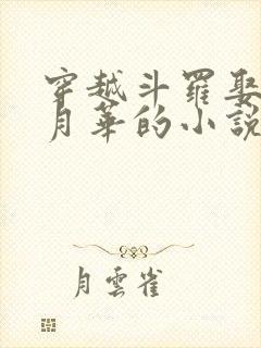 穿越斗罗娶了唐月华的小说