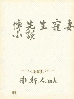 傅先生宠妻无度小说封面