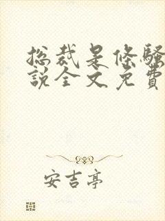 总裁是条骚狗小说全文免费阅读