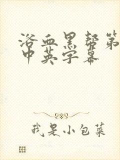 浴血黑帮第一季中英字幕