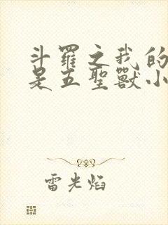 斗罗之我的武魂是五圣兽小说