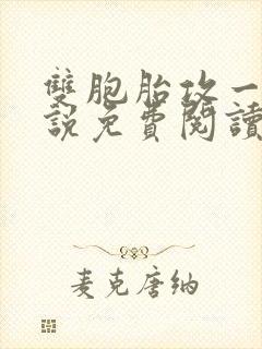 双胞胎攻一受小说免费阅读封面