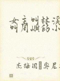 女主叫林溪男主叫周屿的小说