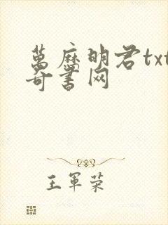 万历明君txt奇书网