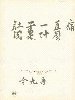 肚子一直痛的原因是什么