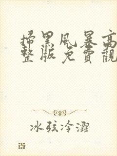 扫黑风暴高清完整版免费观看28集