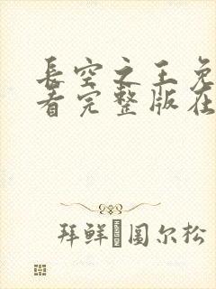 长空之王免费观看完整版在线高清