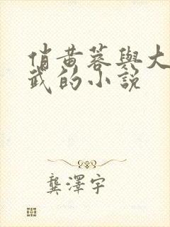 俏黄蓉与大武小武的小说封面